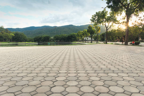 Best Permeable Paver Driveway  in Linden, TN